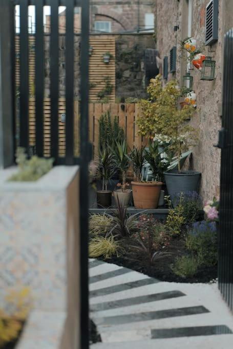 The Saafe Luxury Apartment Berwick Upon Tweed